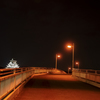 HIGH PRESSURE SODIUM LAMP'S LOVE
