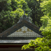 原始林の島　春日神社拝殿 II