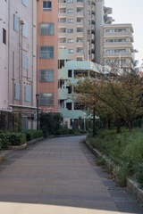 京橋裏手の遊歩道