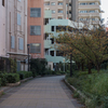 京橋裏手の遊歩道