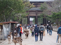東大寺