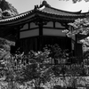 榮山寺 八角堂 