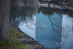 Romantic compositions