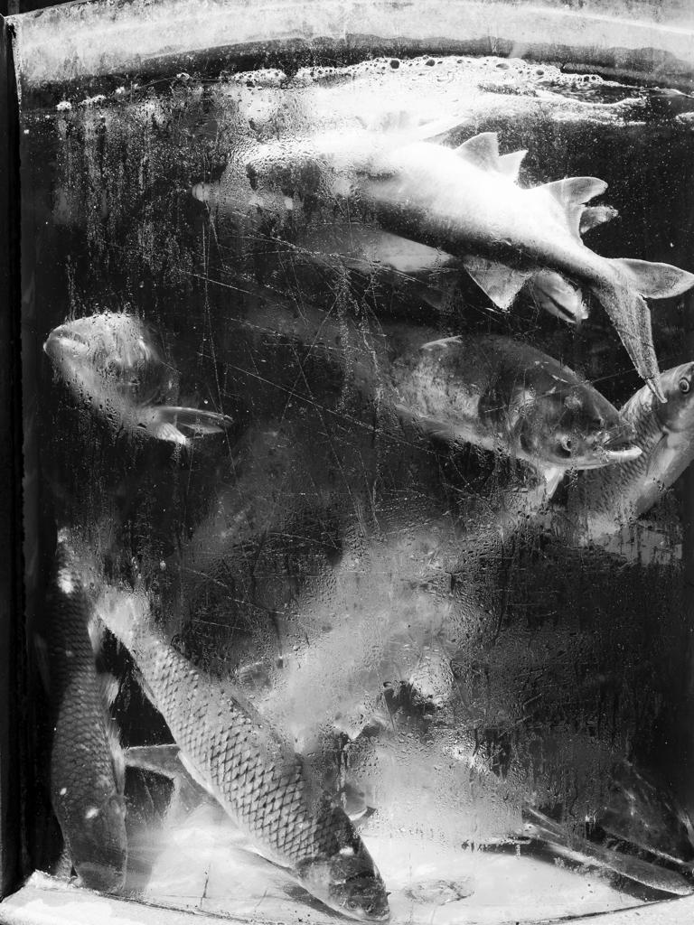 Fantasma