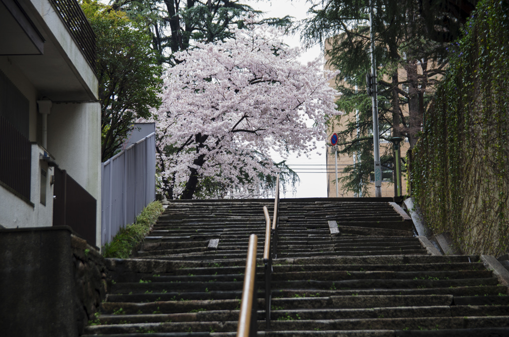 上町台地の北端