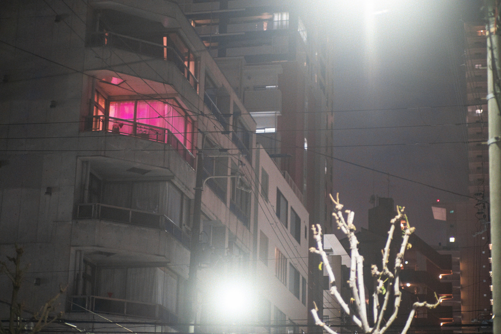 Pinky Curtain - Olympus Sonnar