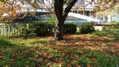 20141124_101055