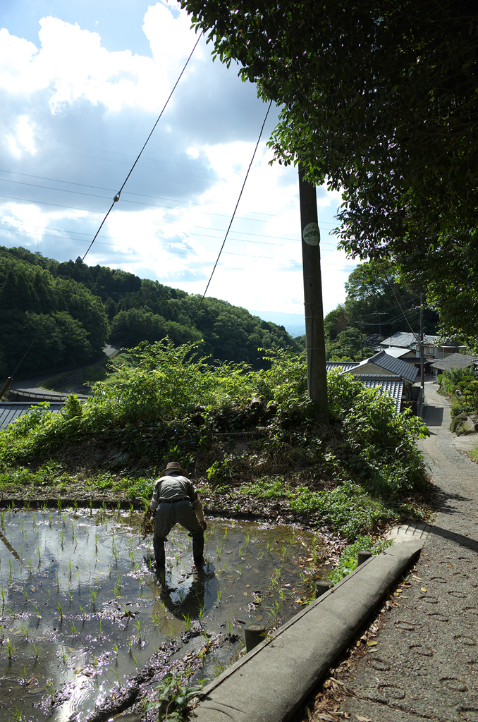 田植え　暗峠