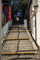 玉造神社 参道