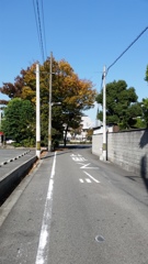20141115_101448