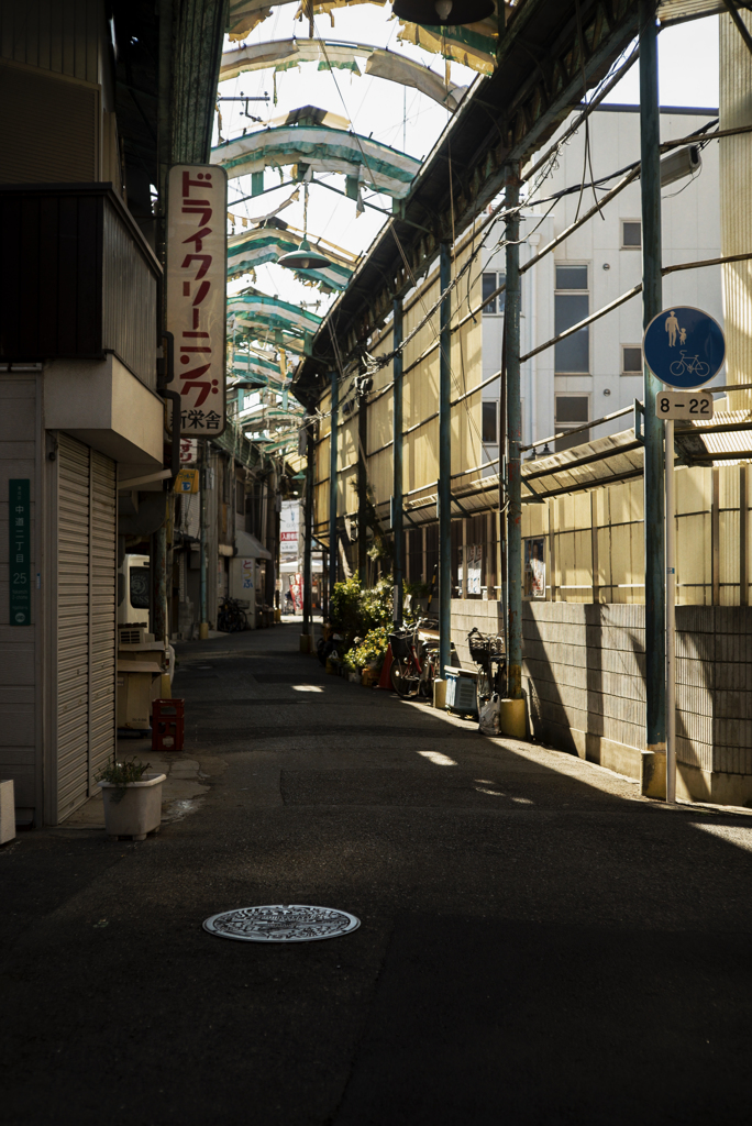 Osakanostalgia color
