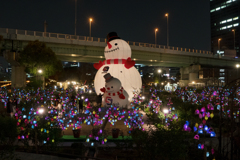 中之島公園 1219