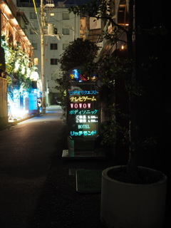 連れ込み宿 II