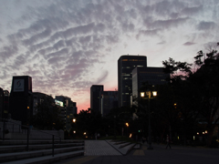 magic hour 2