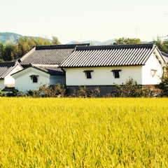 癒し蔵（イヤシクラ）