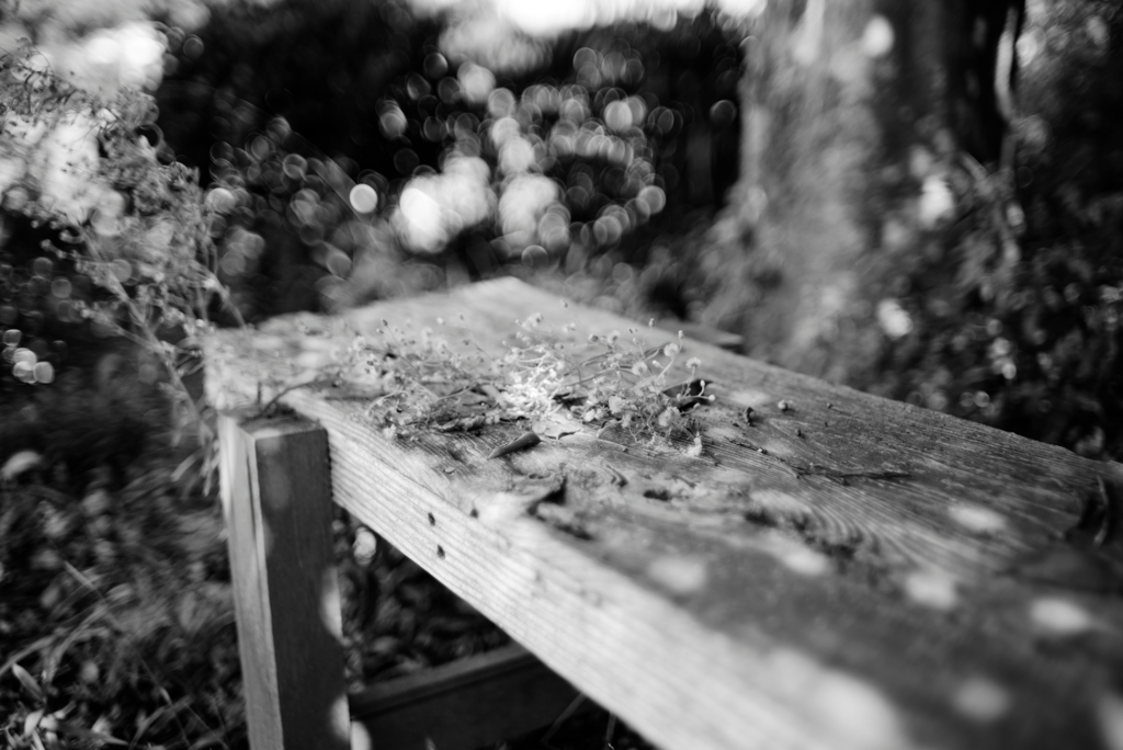 F1.4