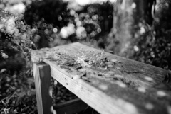 F1.4