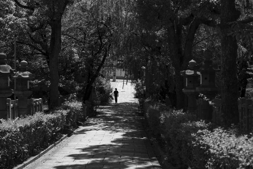 tones of the shade ...