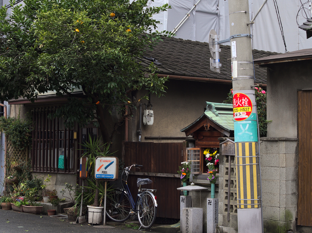 春の夢 - 上町の家