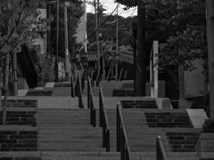 monochrome leica