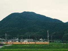 二上山　雄岳　麓