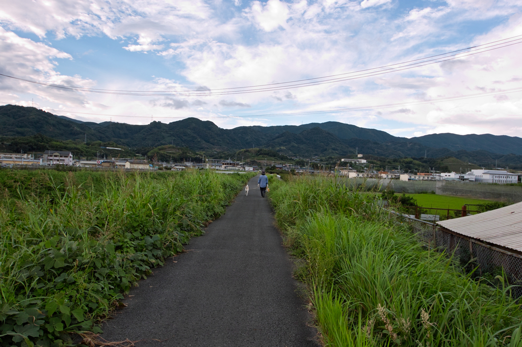 紀ノ川