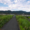 紀ノ川