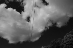 夏の雲
