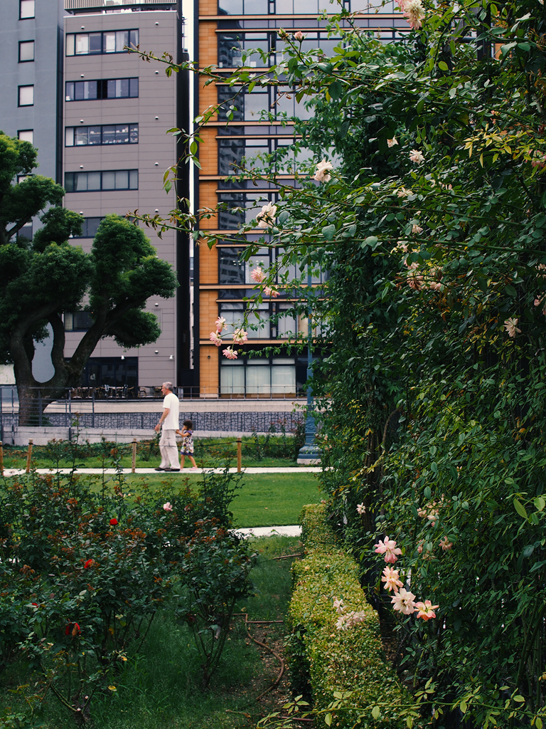 中之島公園