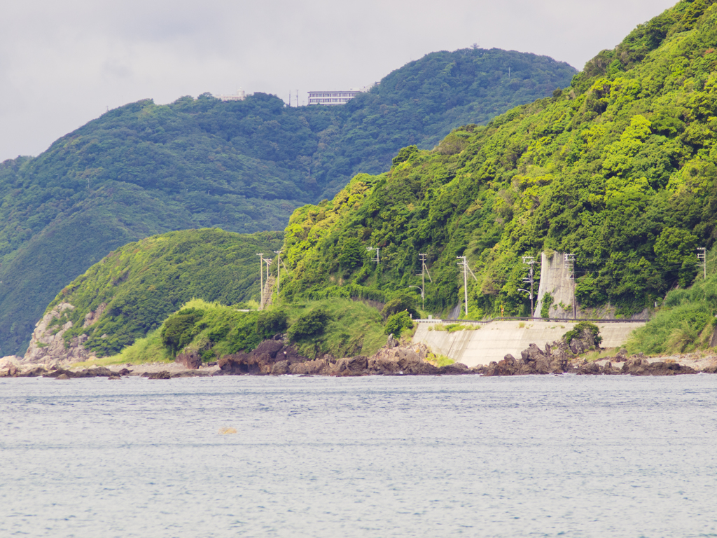 初夏の候