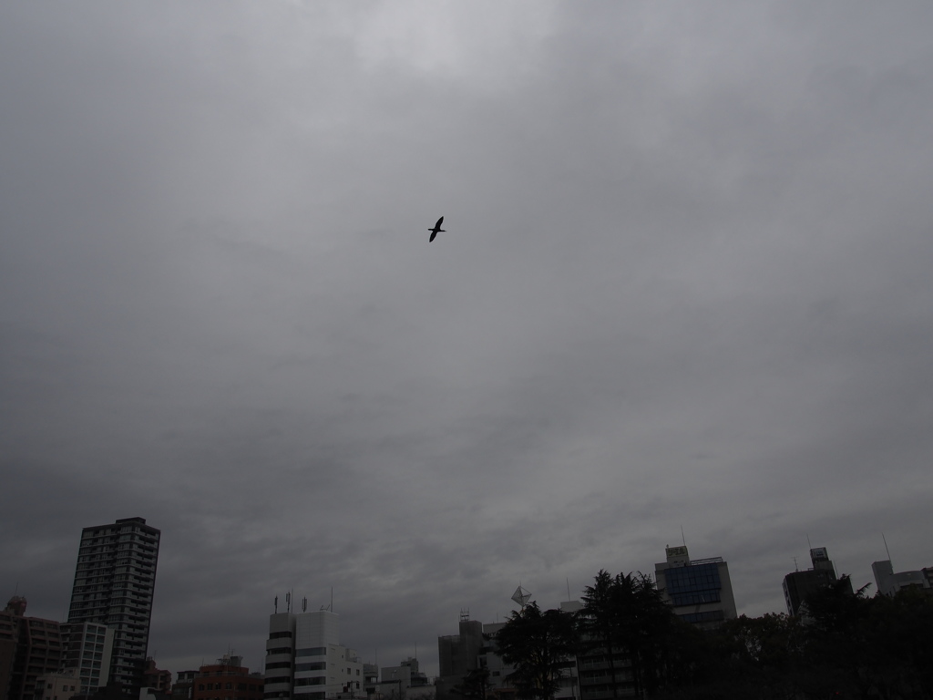 大川