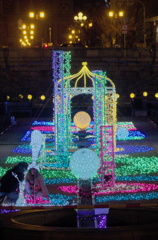 2015 中之島冬のイルミネーション　バラ園西
