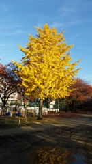 20141127_154243