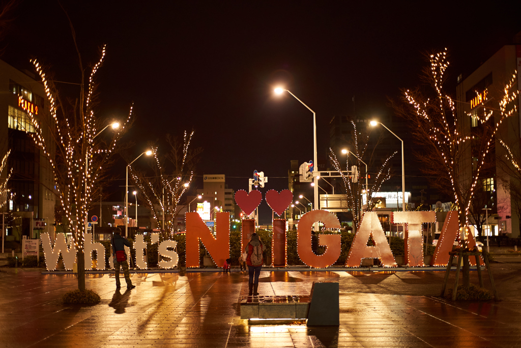 What's NIIGATA
