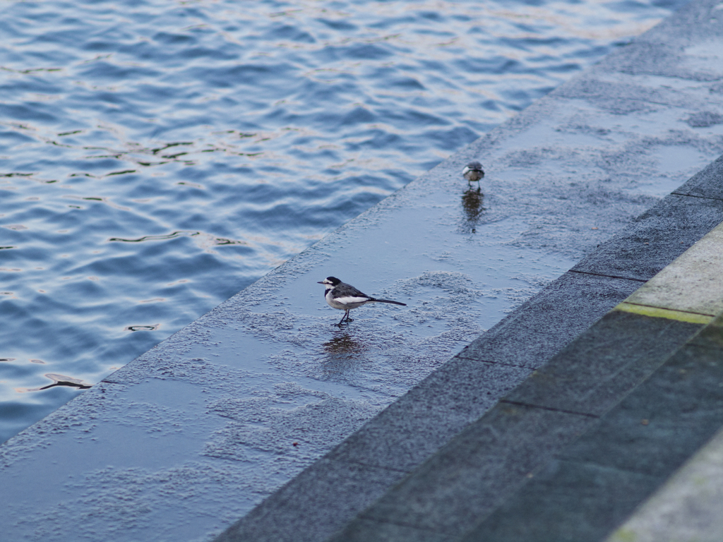 200mm Snapshots