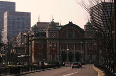 見慣れた風景 F11　中央公会堂