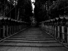 monochrome leica