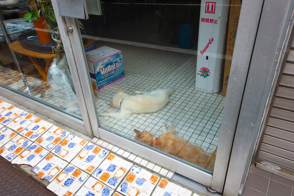 西天満かいわい