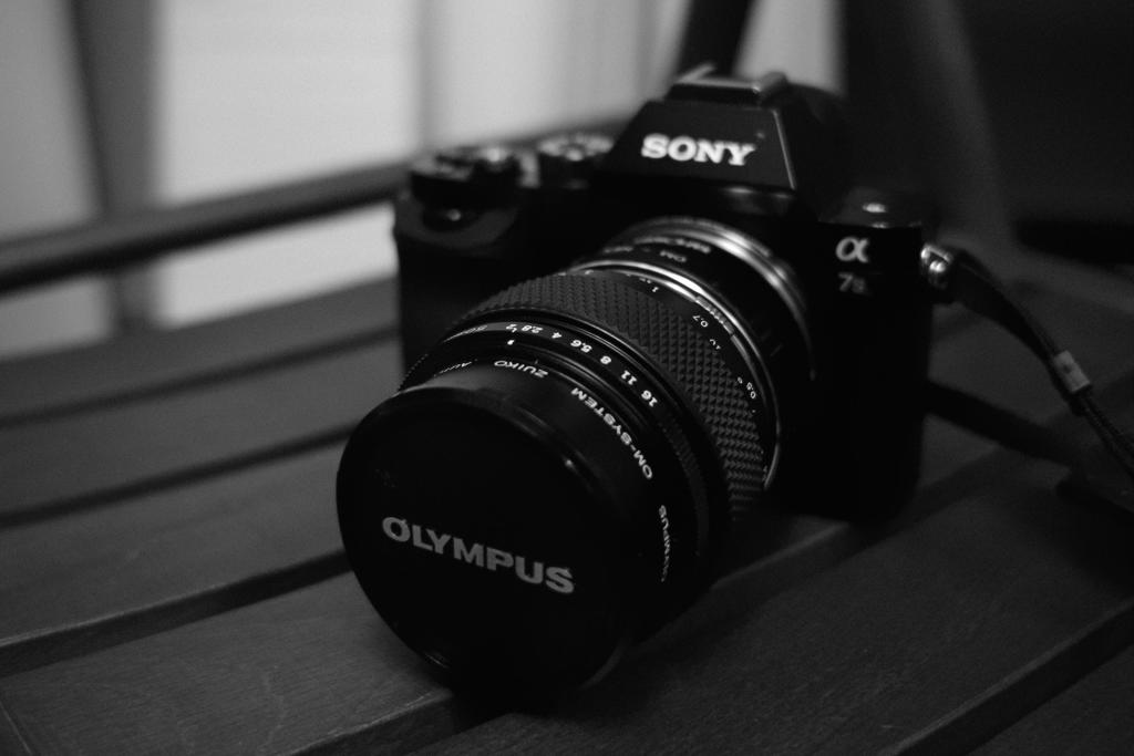 om 50mm auto-macro f/2.0 　DP2 / ISO1600