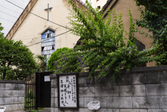 過客の眼