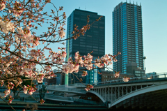 天神橋公園