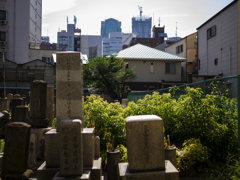 OSAKA GREEN STREETS