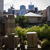 OSAKA GREEN STREETS