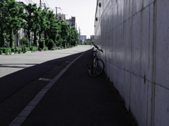 六月
