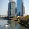 春の風景