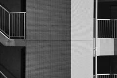 マンションのタイル