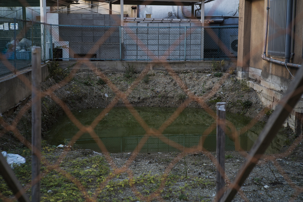 Canon 50mm F/1.5 ltm - 京橋の池沼