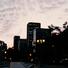 magic hour