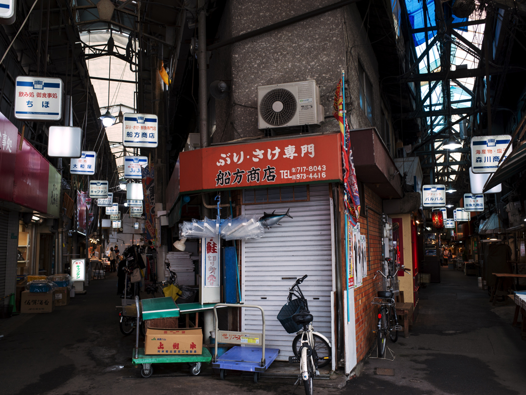 迷い路 分かれ道