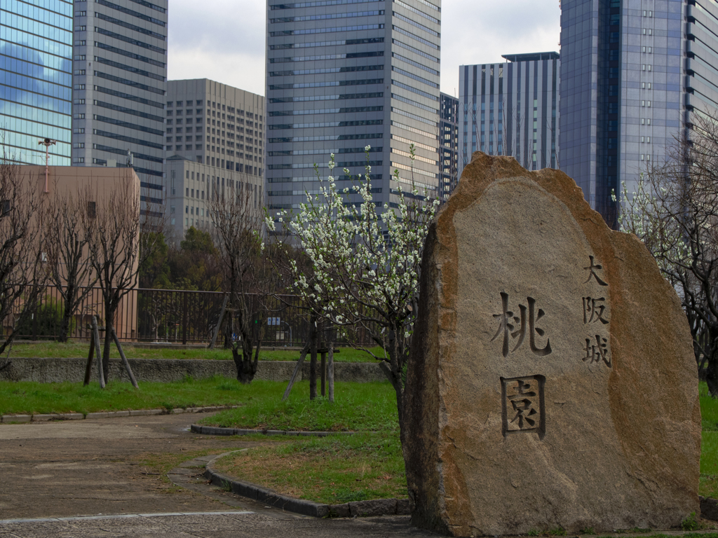 contemporary peach garden